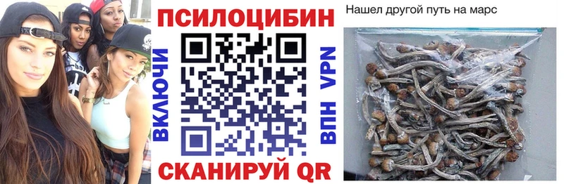 Купить закладки  Терек  Галлюциногенные грибы мицелий 